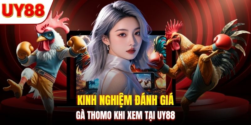 Kinh nghiệm đánh giá gà Thomo khi xem tại UY88