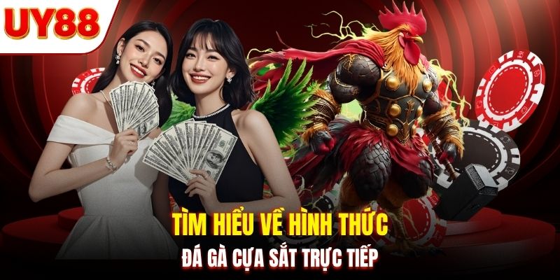 Tìm hiểu về hình thức đá gà cựa sắt trực tiếp